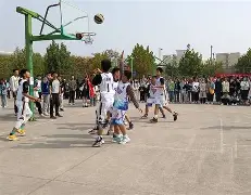 体育天才放飞梦想，谱写传奇篇章的简单介绍